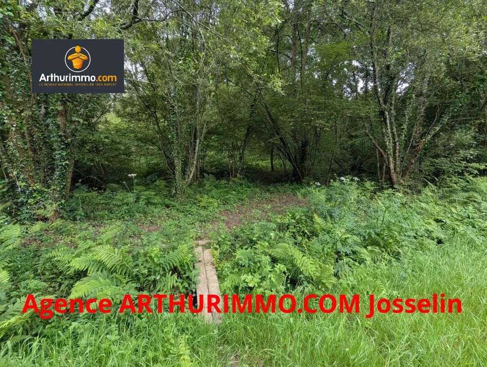 Vente Terrain GUILLAC TERRAIN BOISÉ 3 500 M² Guillac