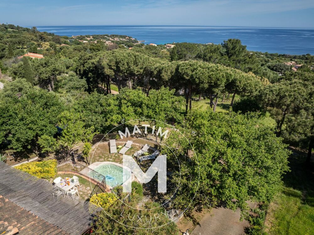 � vendre  Maison Corbara (20256)