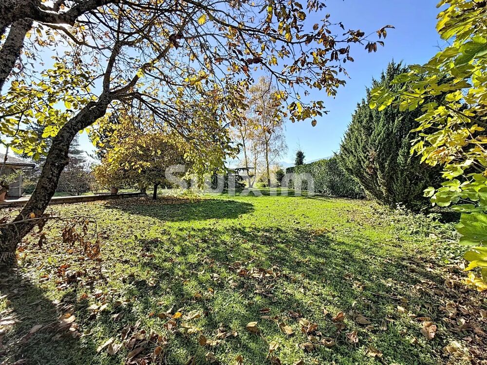 � vendre  Maison Saint-Jean-de-Gonville (01630)