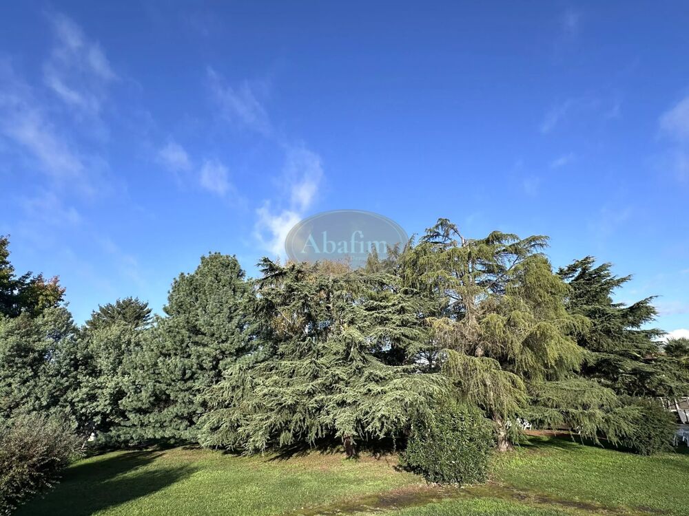 Vente Immeuble Ensemble immobilier à fort potentiel Tarbes
