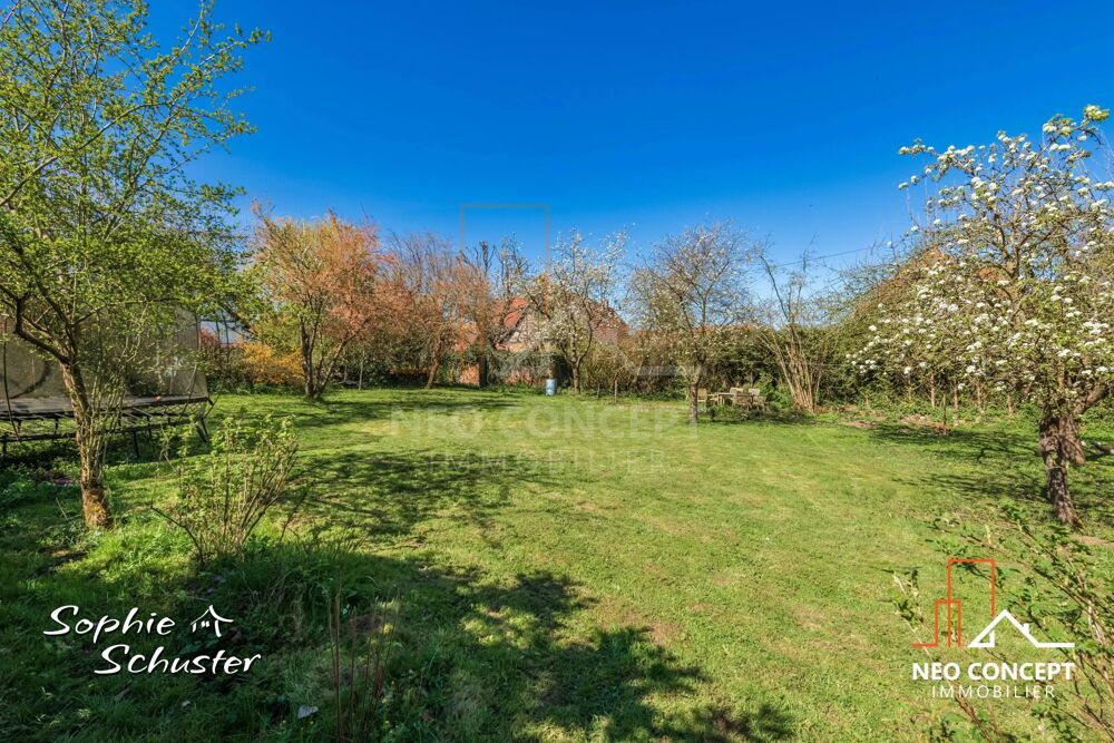 à vendre  Villa Mulhausen (67350)