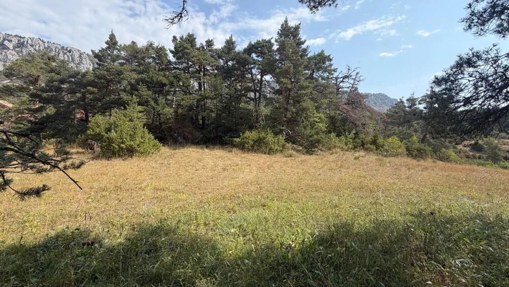 Vente Terrain Terrain constructible de 1 990 m² – Un cadre naturel privilégié Andon