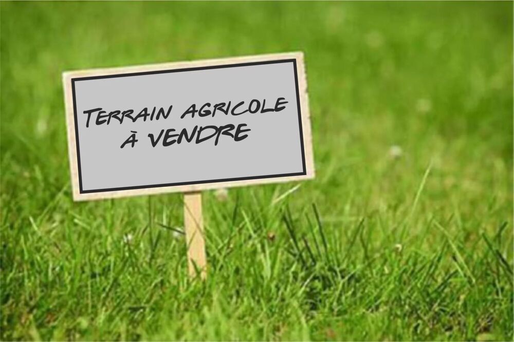 Vente Terrain EXCLUSIVITÉ - TERRAIN CLÔTURÉ DE 2,55 HA À VENDRE À AIGUEPERSE Aigueperse