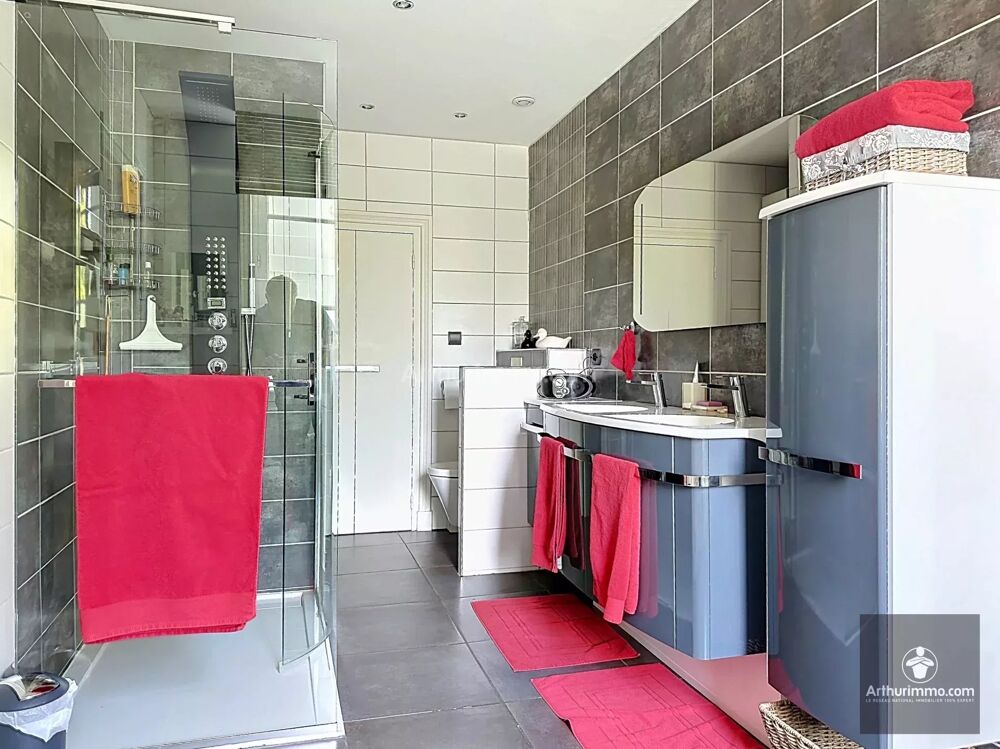 à vendre  Maison Renaison (42370)