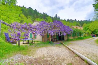  Maison � vendre 15 + pi�ces 450 m�