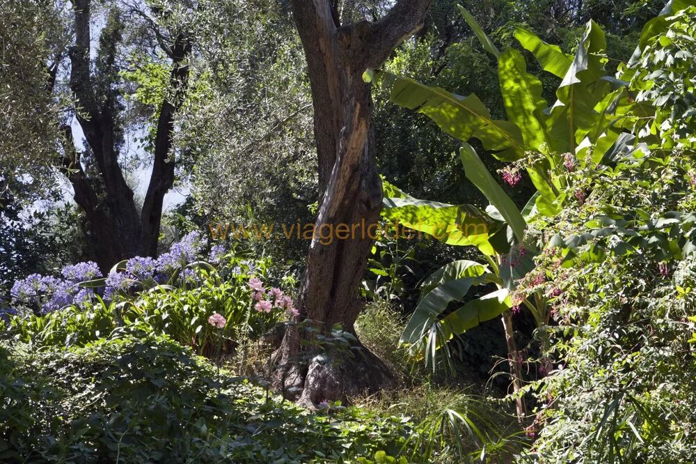  vendre  Maison Menton (06500)