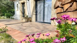  Maison � vendre 7 pi�ces 262 m�