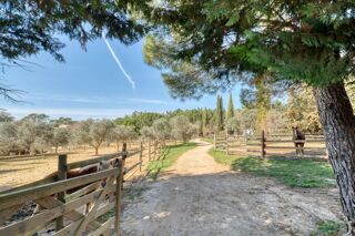  Maison � vendre 8 pi�ces 585 m�