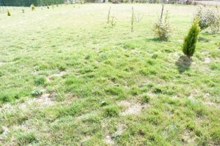  Terrain � vendre 