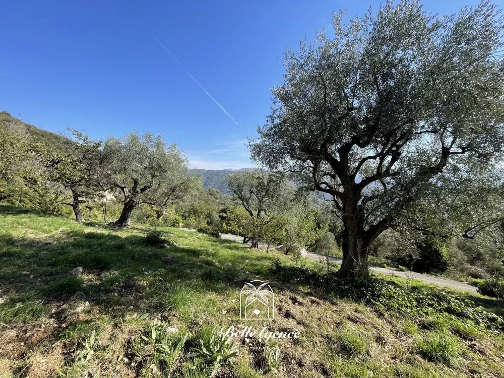 Vente Terrain Chateauneuf Villevieille - Terrain constructible 1950m² 'André' Châteauneuf-villevieille