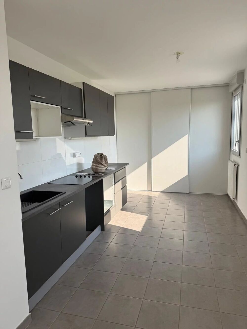 Location Appartement GRAND T4 CLIMATISE AVEC TOIT TERRASSE Toulouse