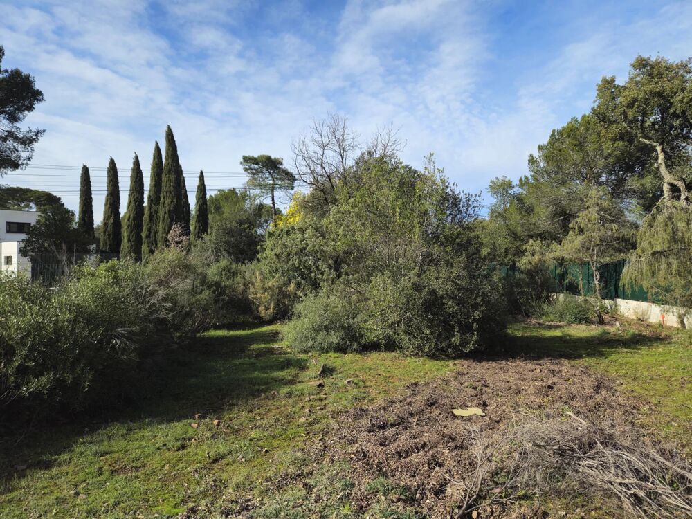 Vente Terrain Beau terrain constructible au Cannet-des-Maures Le cannet-des-maures