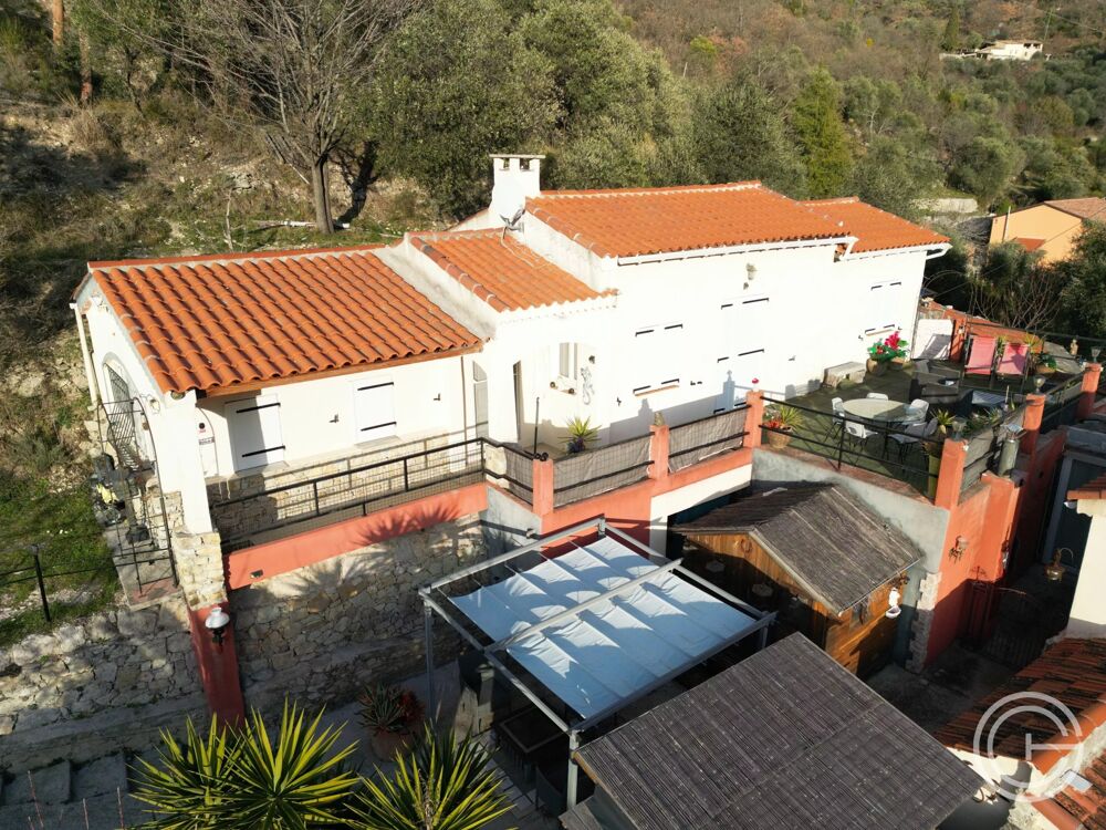 Propriété avec deux maisons et studio  7 500 m² de terrain - ro