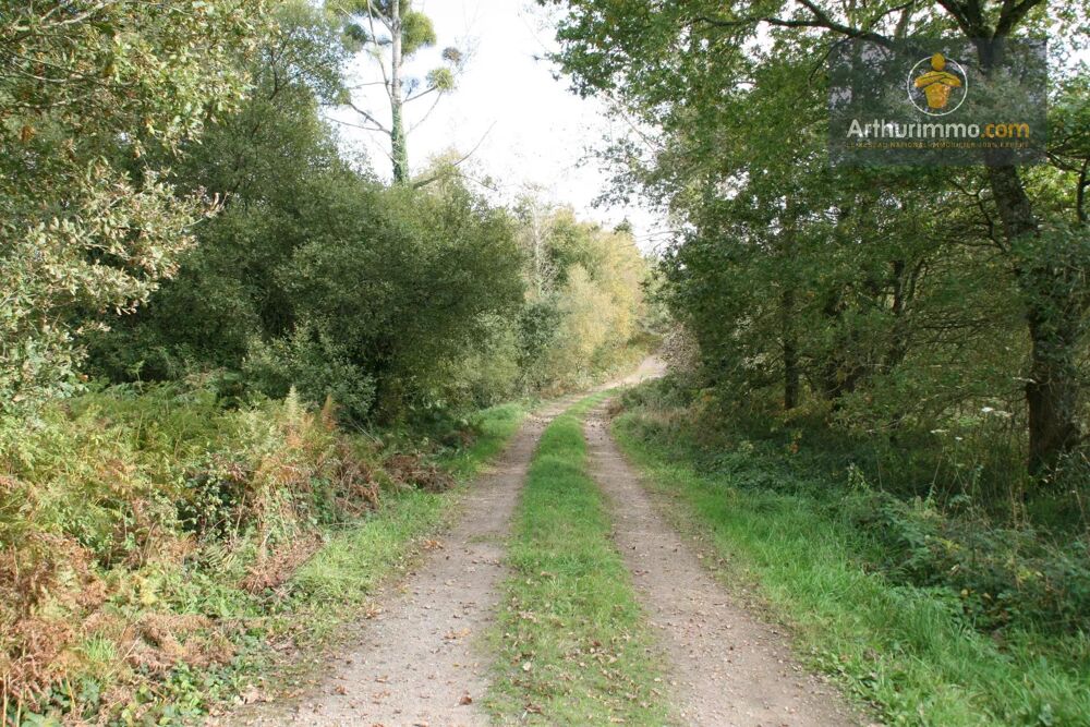 Vente Terrain GUEGON TERRAIN 10.3 HECTARES Gu�gon