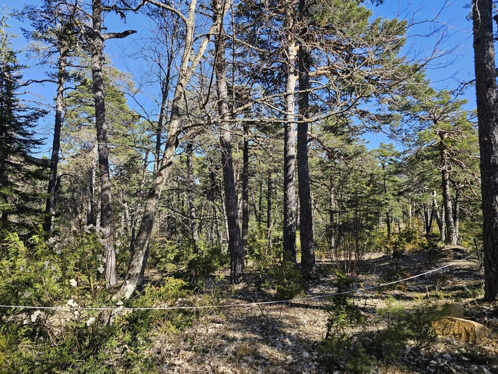 Vente Terrain Thorenc – 4 480 m² constructibles avec double garage et possibil Andon