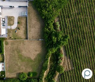 Vente Terrain Sainte Anne d'Evenos - Terrain constructible de 2376 m² Le beausset