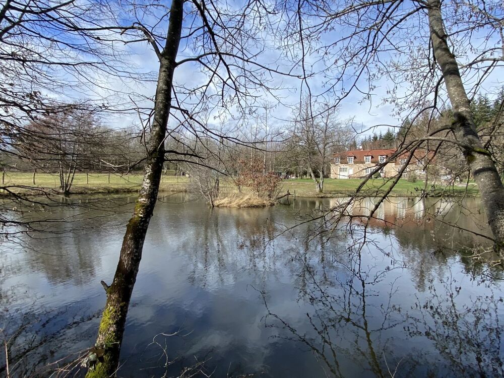 Vente Maison MORVAN: Propriété de 5 hectares avec plan d'eau Saint-didier
