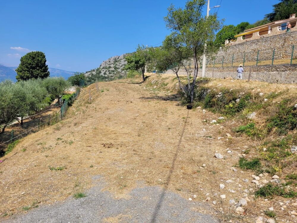 Vente Terrain Aspremont Terrain agricole Aspremont