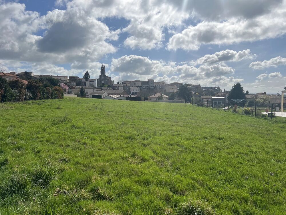 Vente Terrain Terrain Rozier-en-donzy