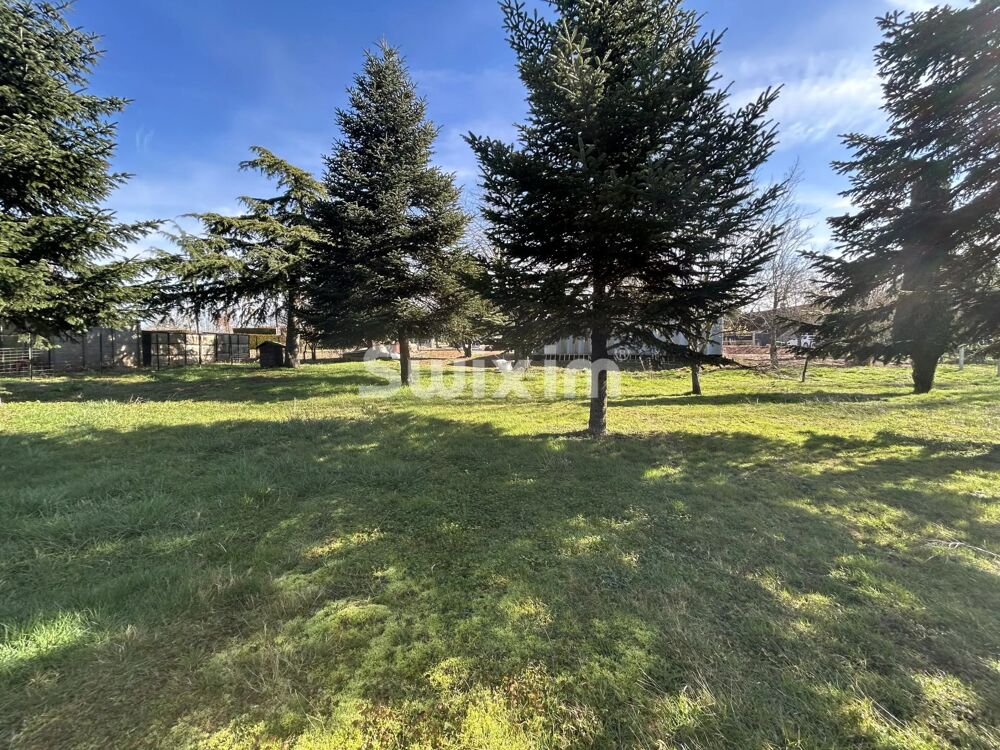 Vente Terrain Terrain constructible avec dépendance – Un projet à imaginer Sainte-magnance