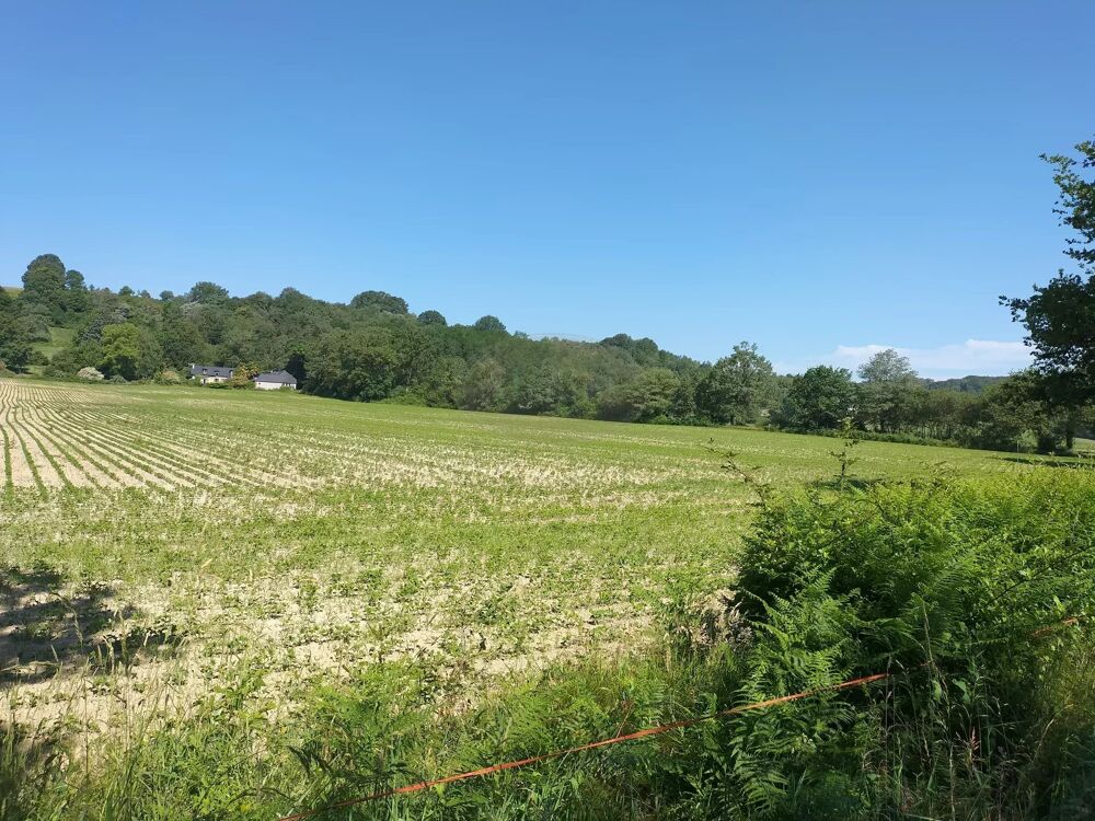 Vente Terrain Terrain agricole de 9ha70 Tarbes
