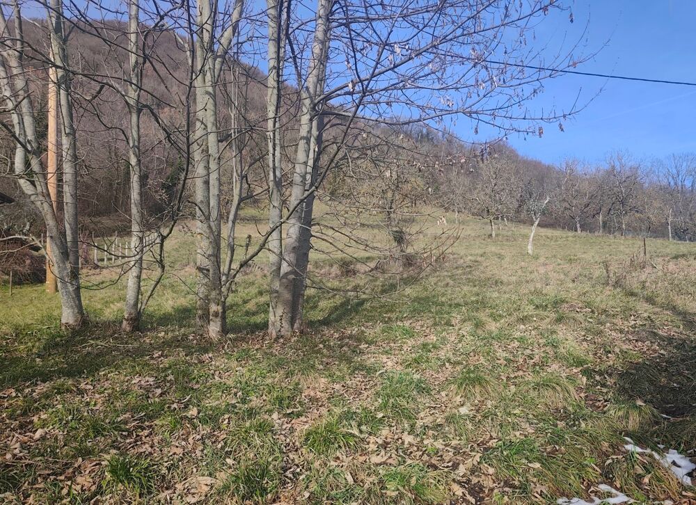 Vente Maison EXCLUSIVITÉ - MAISON DE CAMPAGNE PROCHE DE TOUT Voiron