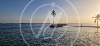  Appartement � louer 2 pi�ces 40 m�