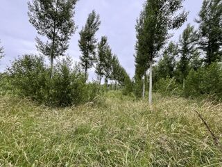  Terrain à vendre 81675 m²