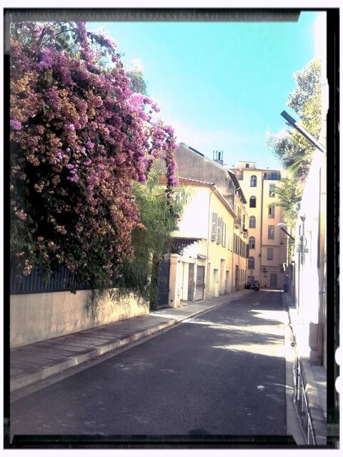  Appartement � louer 2 pi�ces 40 m�