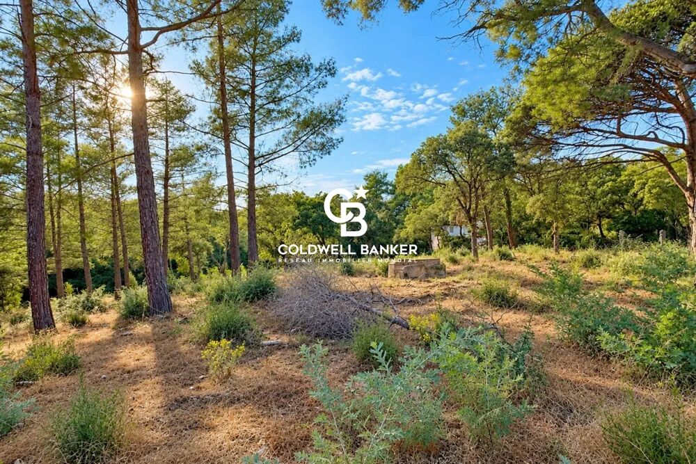 Vente Terrain Grimaud – Beauvallon / Bartole – Terrain constructible de 1 800 Grimaud