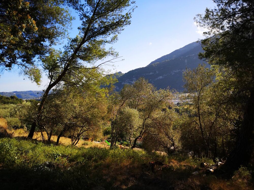 Vente Terrain Quartier résidentiel Saint-martin-du-var
