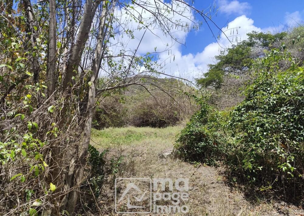 Vente Terrain Vends Grand Terrain Plat, Le Vauclin Le vauclin