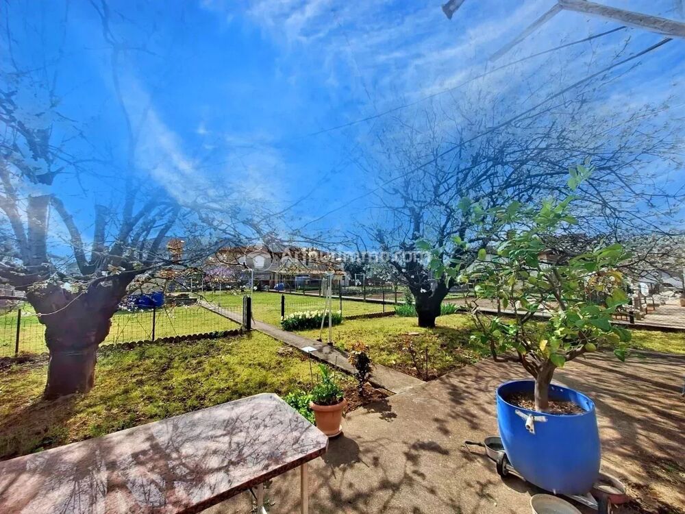 Vente Maison Castres  quartier Barral  maison  4-5 chambres Castres