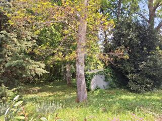  Terrain  vendre 1300 m