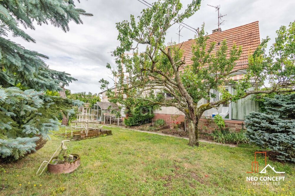 Vente Maison Maison à rénover totalement – 9,69 ares avec potentiel construct Bischwiller