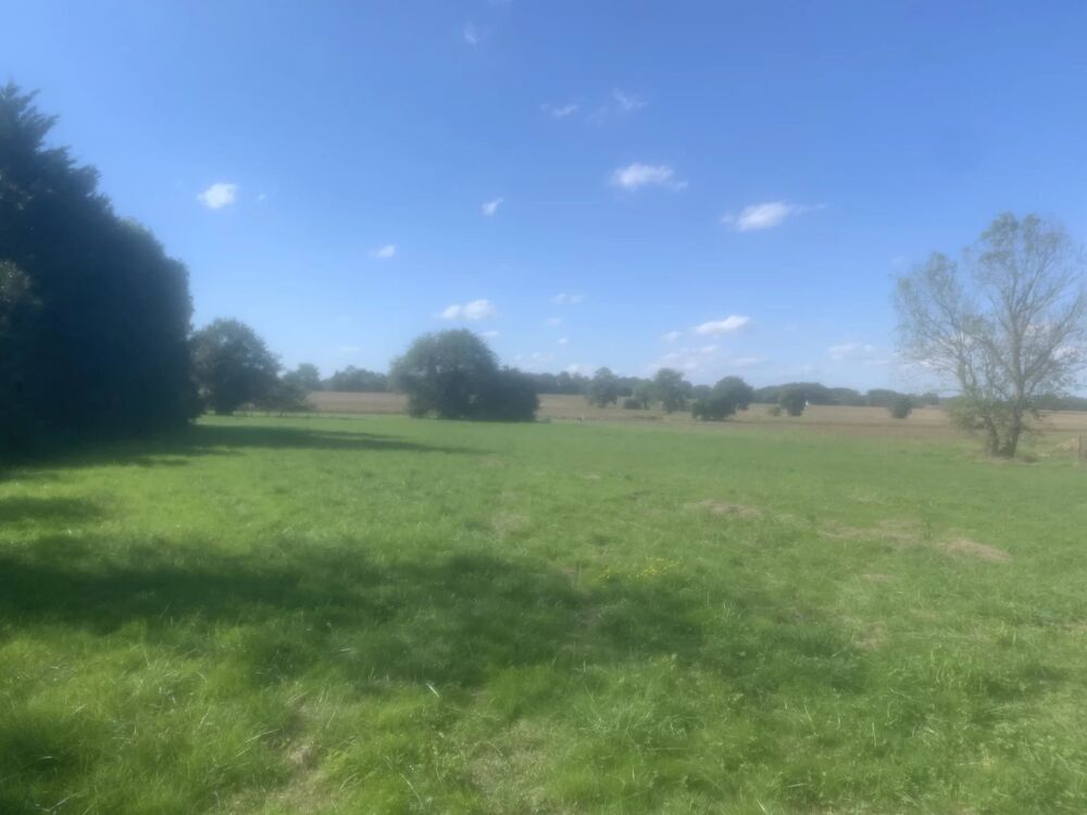 Vente Terrain TERRAIN A VENDRE - GER 64320 - FRANCE Ger