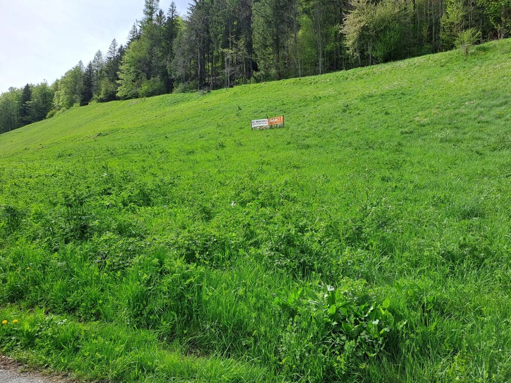 Vente Terrain MIJOUX – Terrain à bâtir de 1 151 m² Lajoux