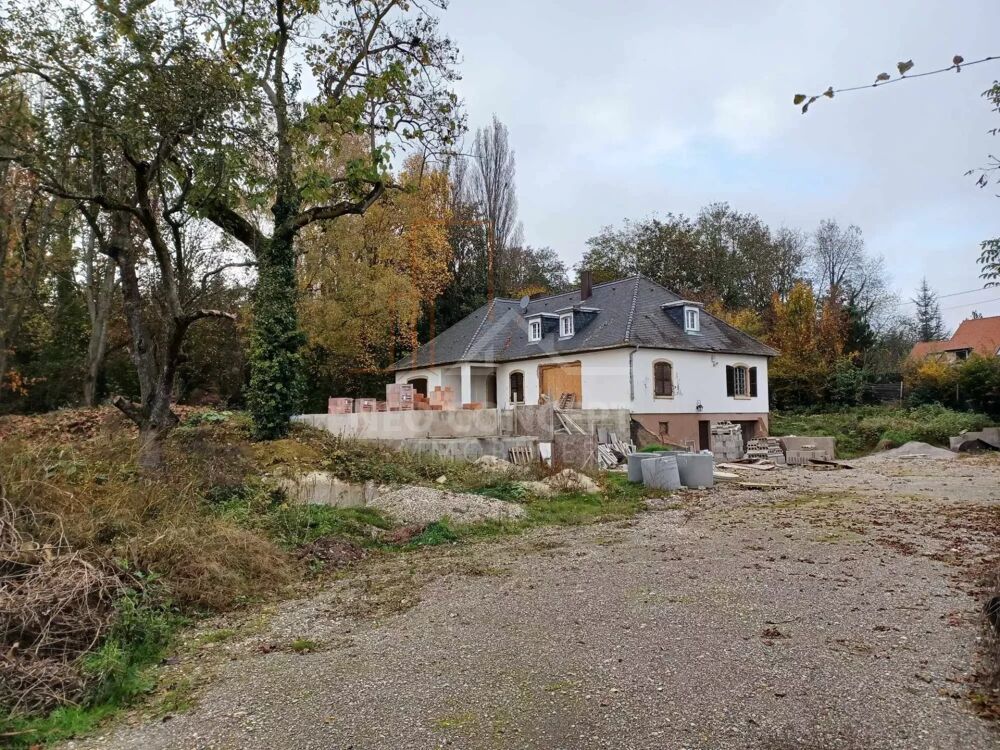 � vendre  Villa Handschuheim (67117)