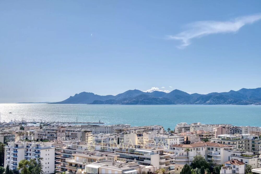Vente Appartement APPARTEMENT  2 PIÈCES VUE MER CANNES Cannes