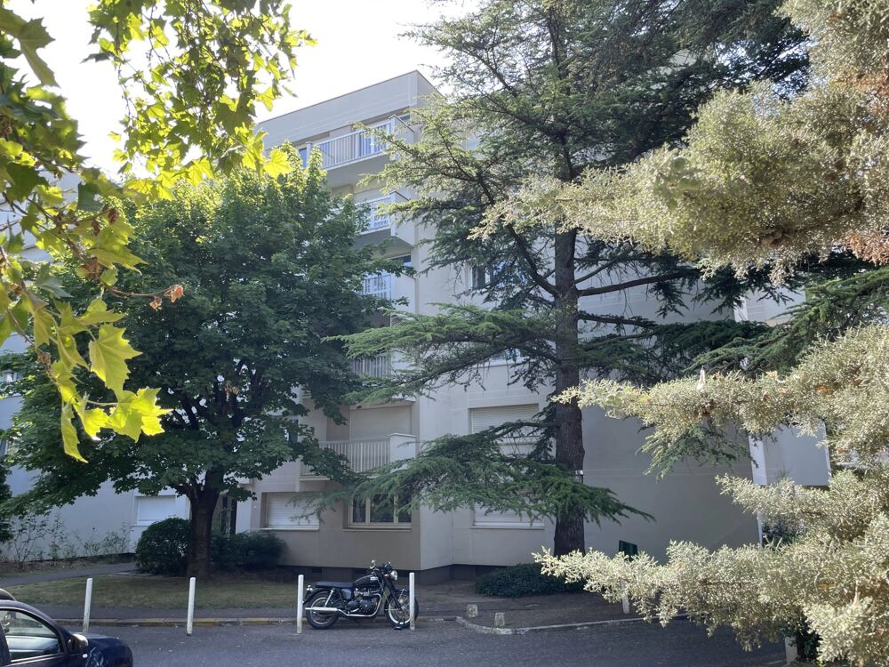 GRAND STUDIO DANS UN BEL ENVIRONNEMENT - PARKING