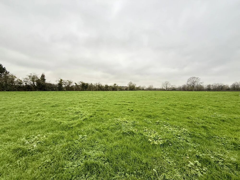 Vente Terrain ideal promoteur ou investisseur !!! Gournay-en-bray
