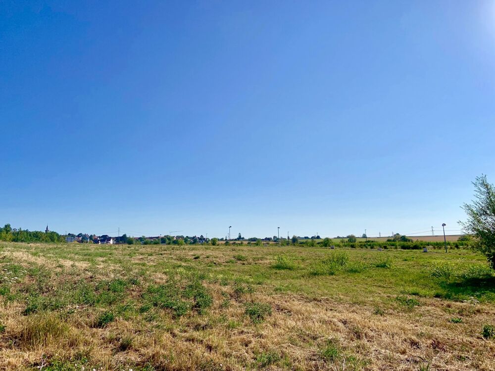 Vente Terrain Marlenheim, terrain à bâtir de 450m2, libre d'architecte Marlenheim