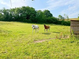  Maison � vendre 10 pi�ces 309 m�