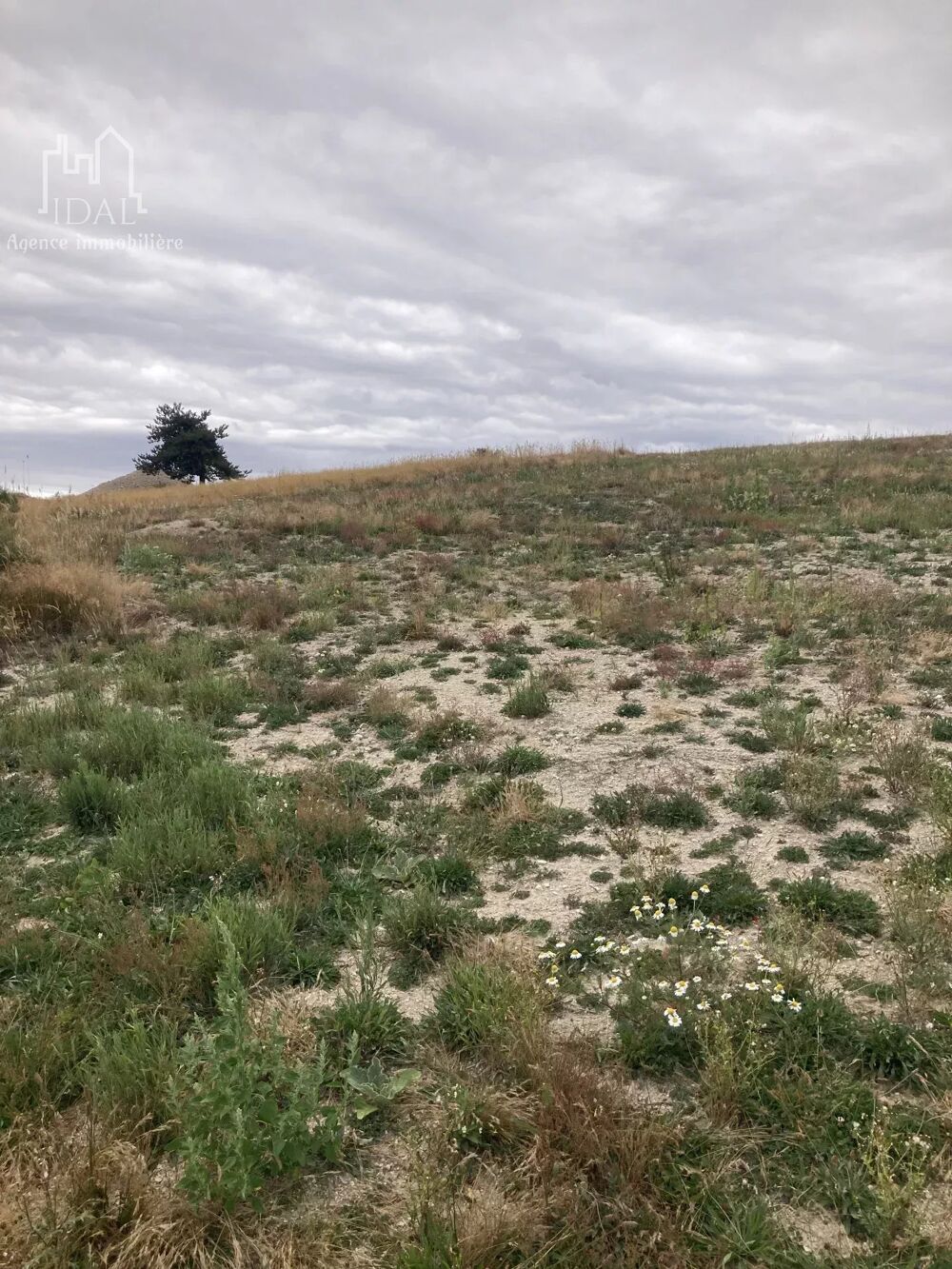 Vente Terrain Terrain  constructible de 1713 m² env. Lot A Saint-denis-en-margeride