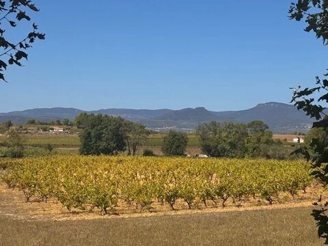  Appartement � louer 3 pi�ces 65 m�