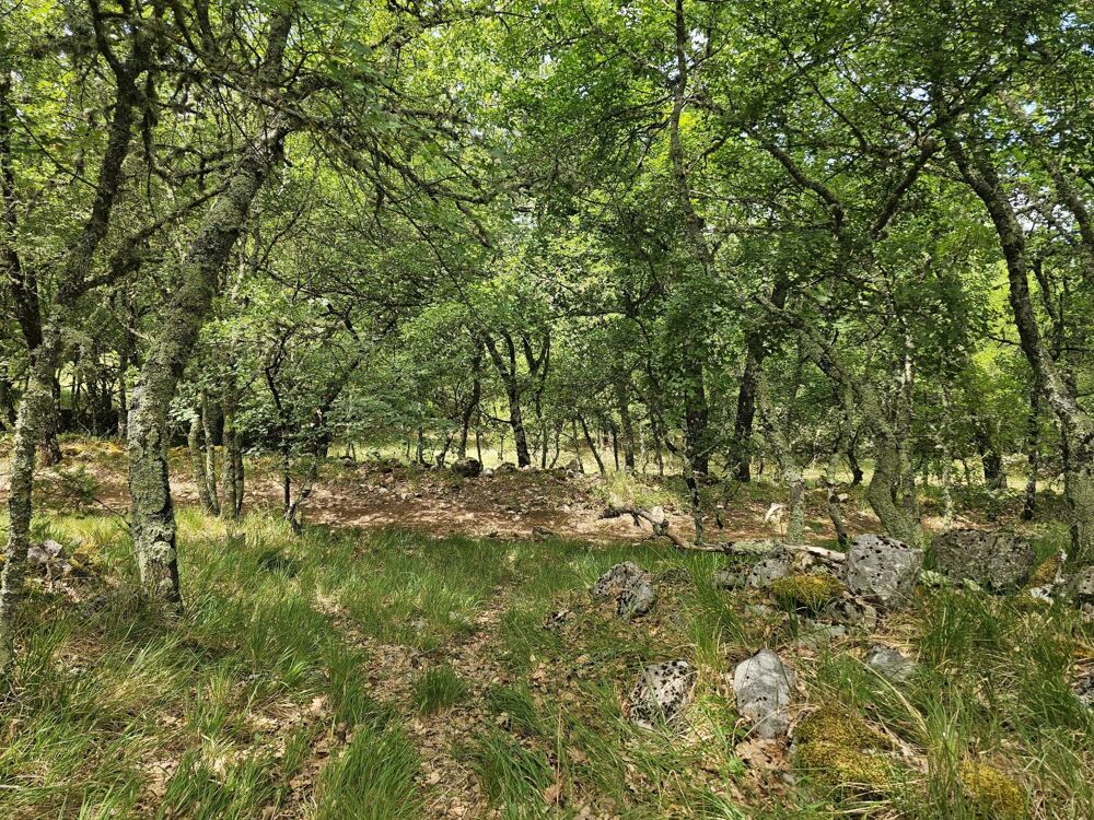 Vente Terrain Terrain de loisirs avec vue dégagée sur les montagnes Saint-vallier-de-thiey