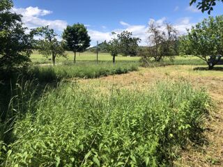 Vente Terrain TERRAIN CONSTRUCTIBLE Saint antoine l'abbaye