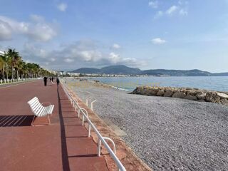  Viager  vendre 2 pices 41 m