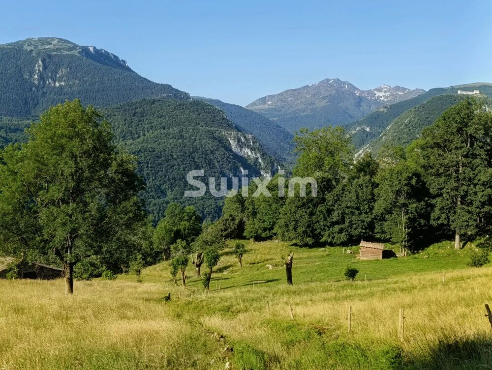 Vente Maison UN CADRE DE VIE UNIQUE AU COEUR DES PYRENEES Lavelanet