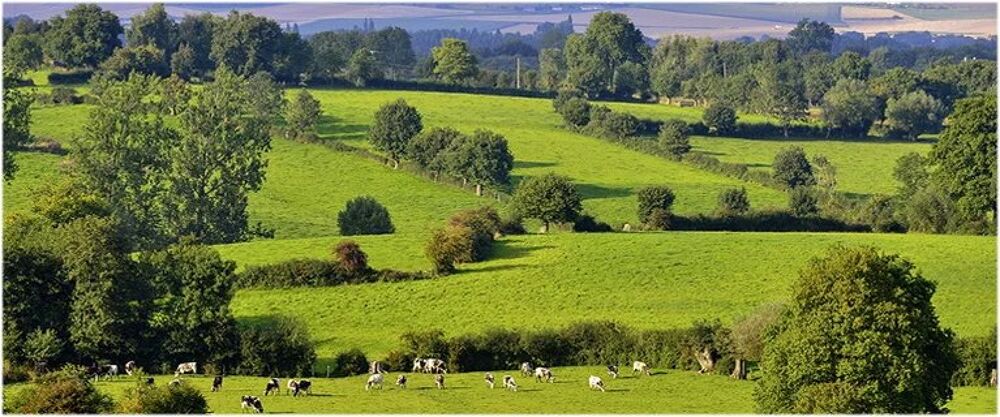 Vente Terrain FAIRE OFFRE ! TERRAIN À BÂTIR DE 1 124 M² Gournay-en-bray